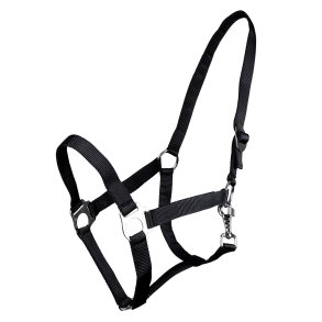 Qhp Grime Slide Sort