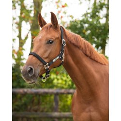 QHP Grime Lined Sort