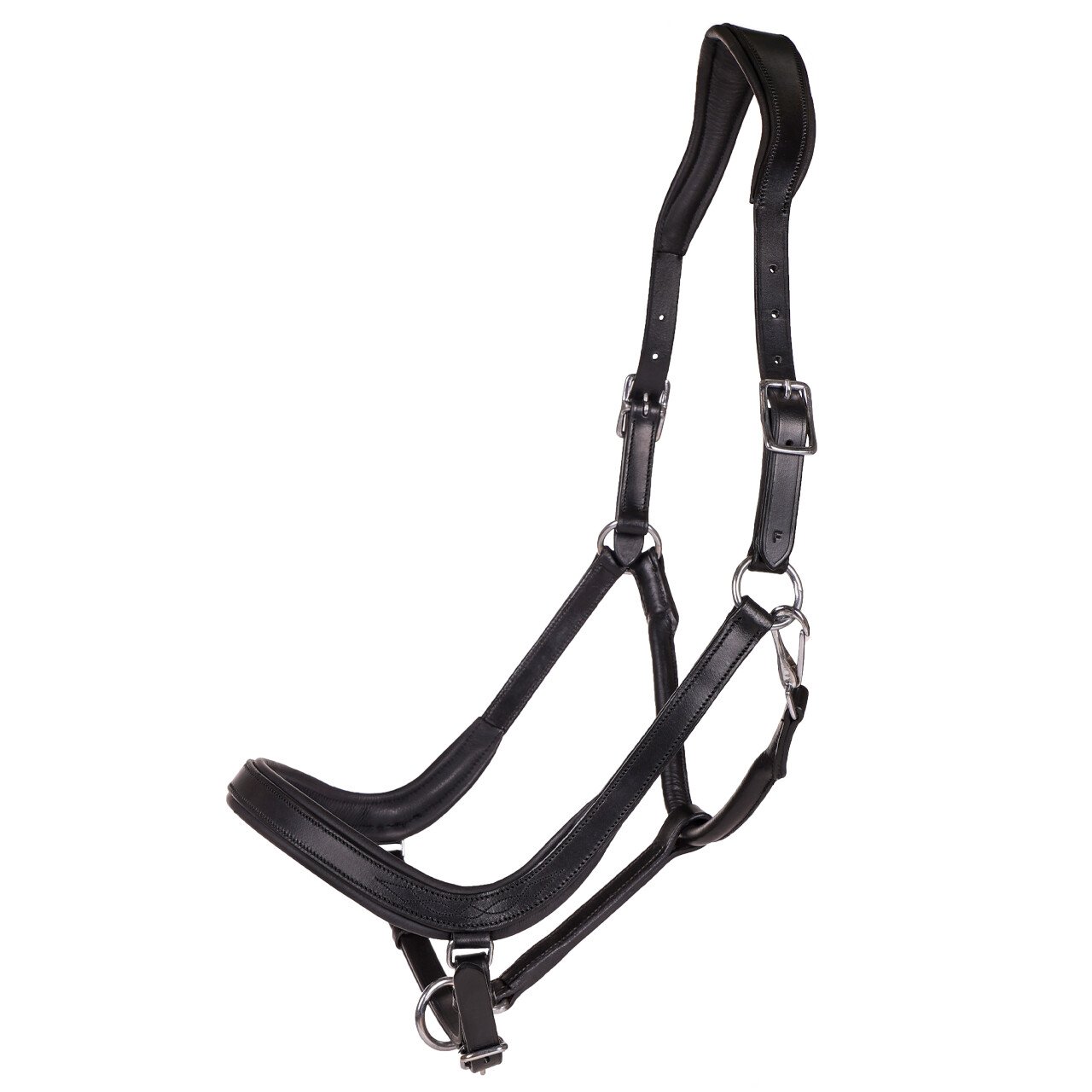 QHP Salerno L�dergrime