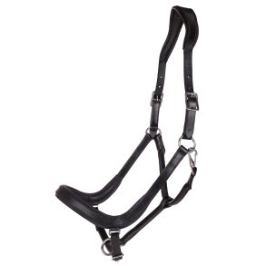 QHP Salerno L�dergrime