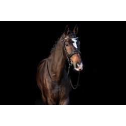 PS of Sweden GP Nsebnd m/lak