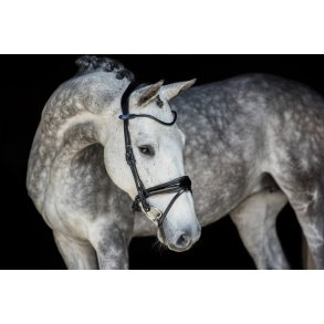 PS of Sweden GP Trense U/Lak