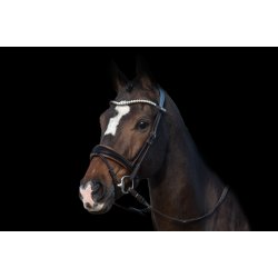 PS of Sweden Gp Trense u/lak