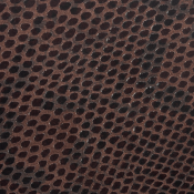 Chocolate faux scales (kun top)