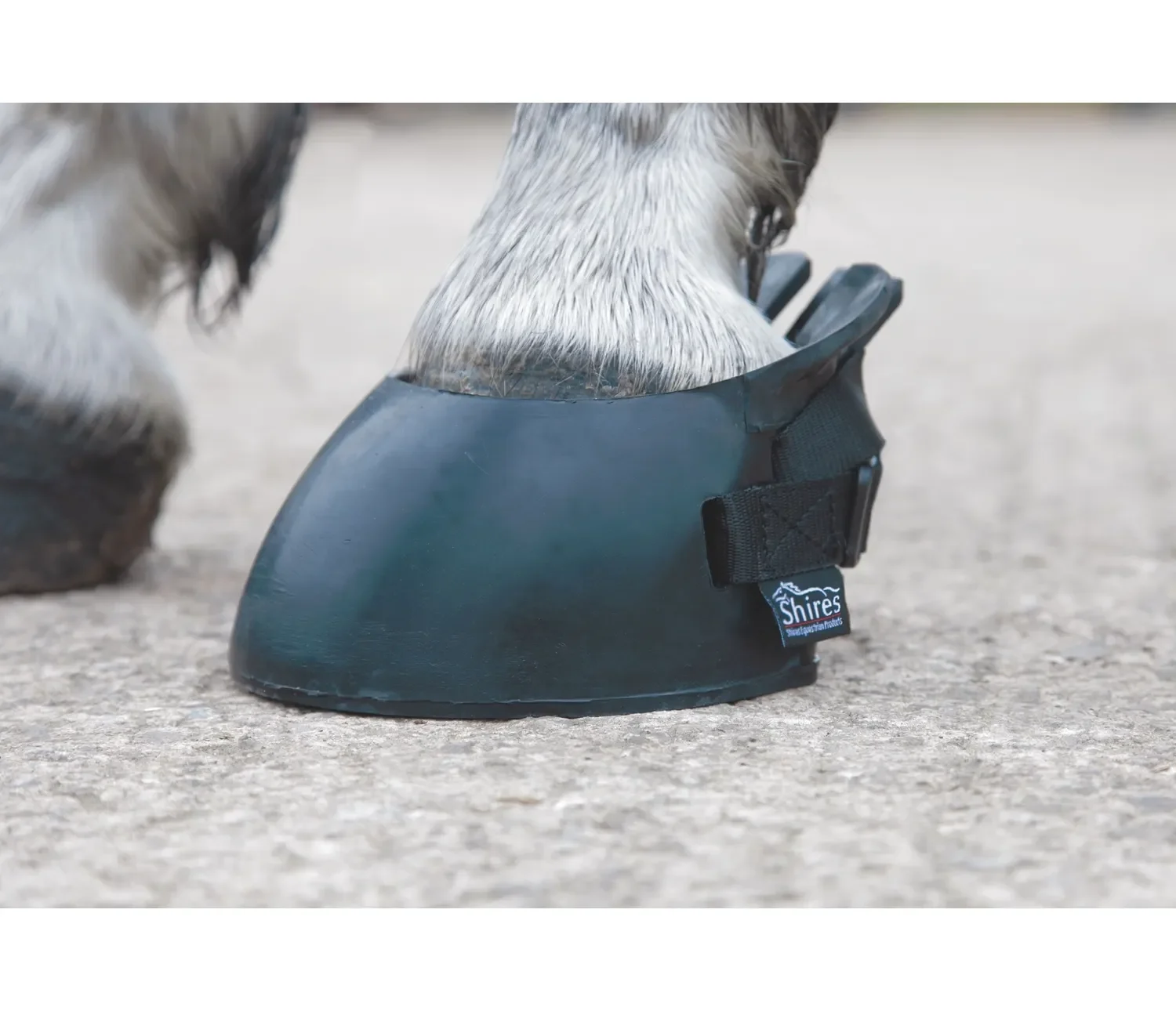 Shires Boots