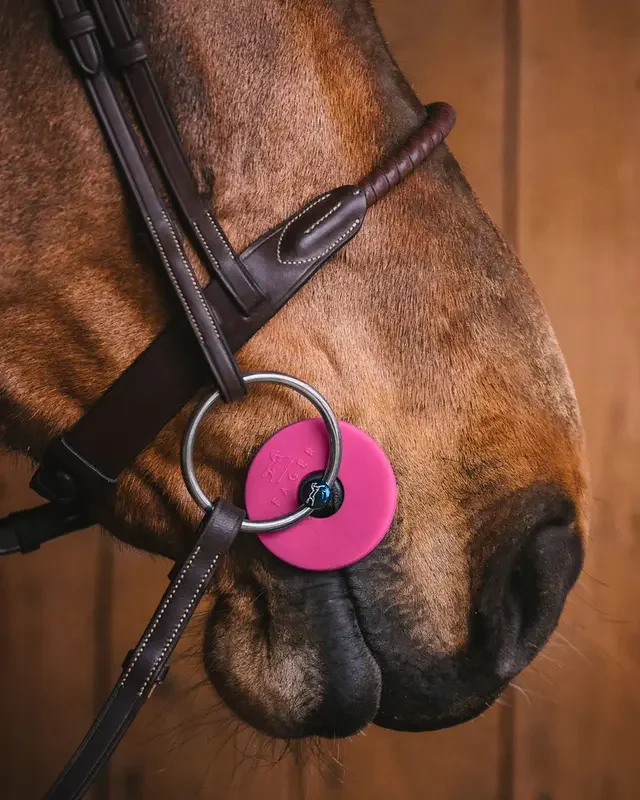 Fager Bidskiver Pink