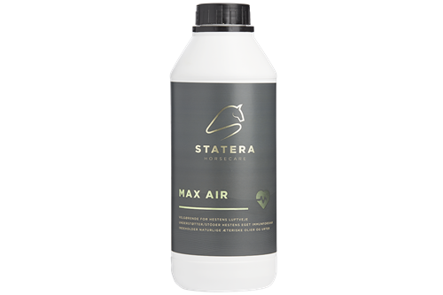 Stratera Max Air 1L  