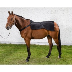 Back On Track Rygvarmer Royal 100x120