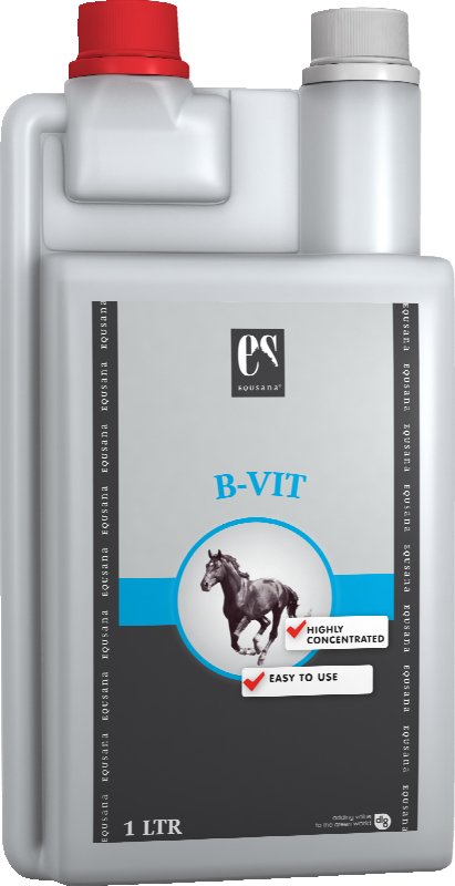 Equsana B-vit 1 L