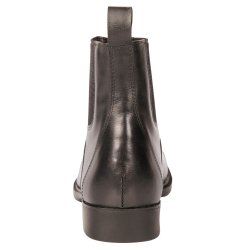 Harry Horse Hickstead Sort