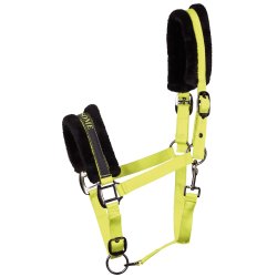 Harrys Horse Lyrics Lime