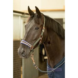 Harry Hors Grime Denici 