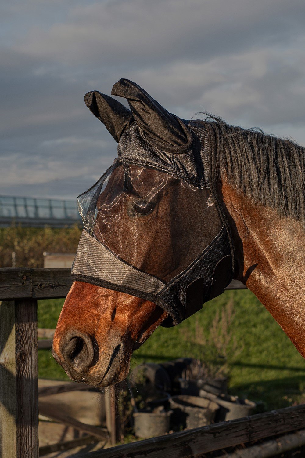 Harrys Horse Fluemaske Flyshield