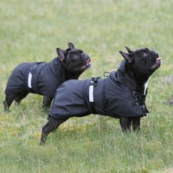 Back On Track Foret Hundedkken 