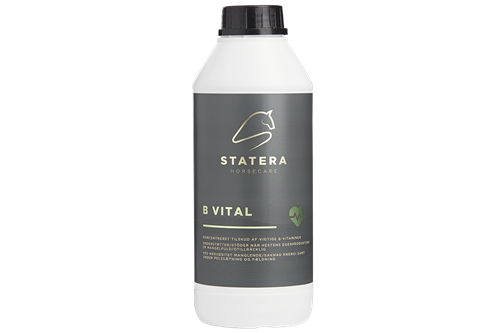 Stratera B- Vital 1L