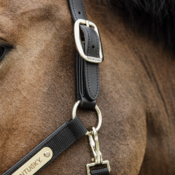 Kentucky Anatomisk Nylon Grime