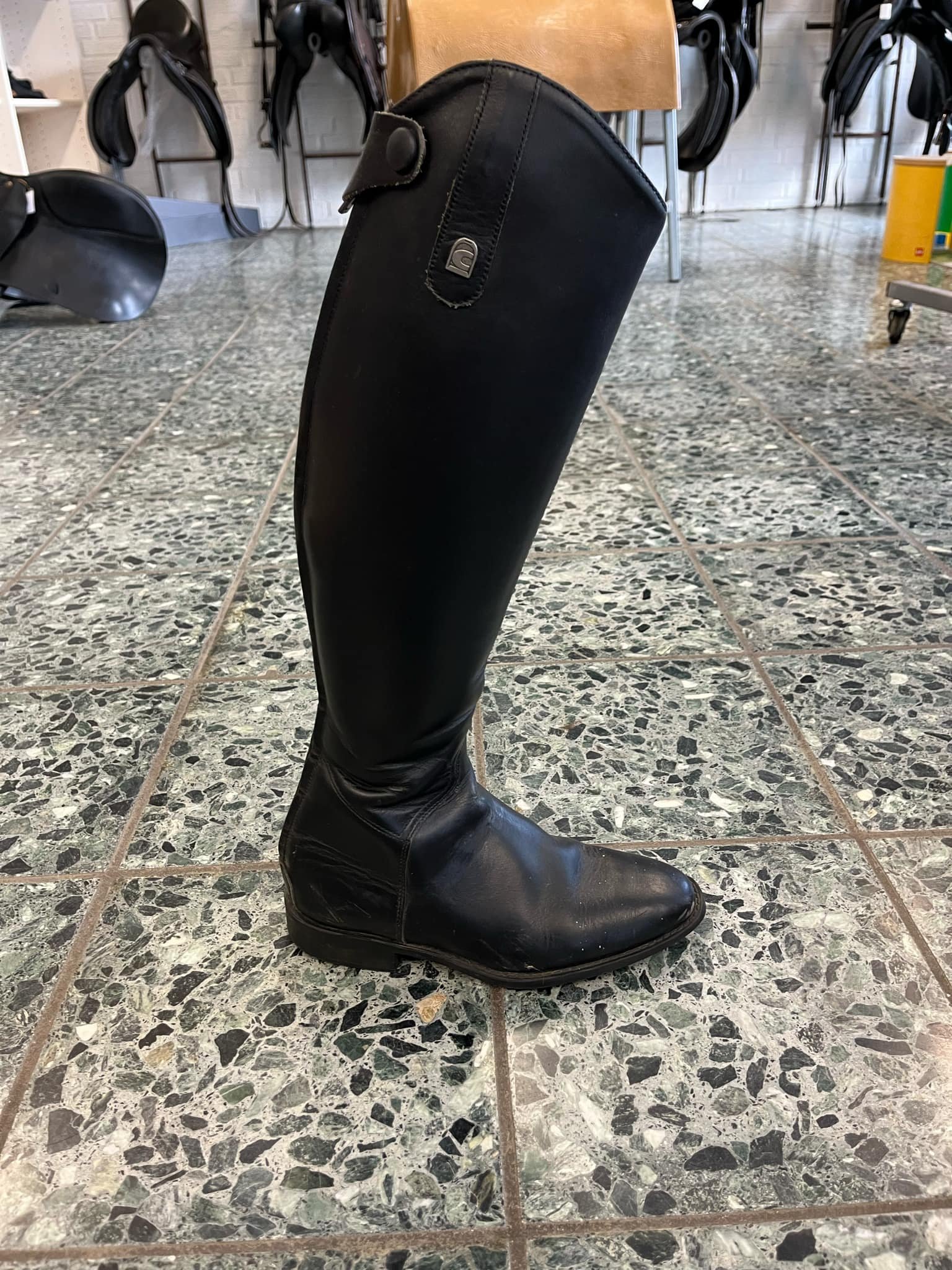 Cavallo Linus 36 30/44