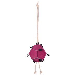 QHP Hesteleget�j Bold Pink