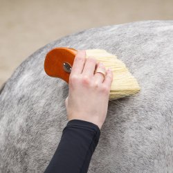 QHP Royal Grooming Set