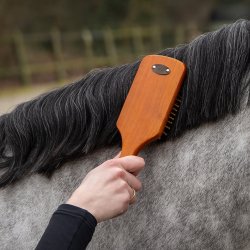 QHP Royal Grooming Set