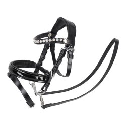 QHP Trense K�phest Sunset Sort