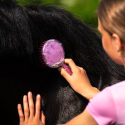 QHP man-hale b�rste rosalynn