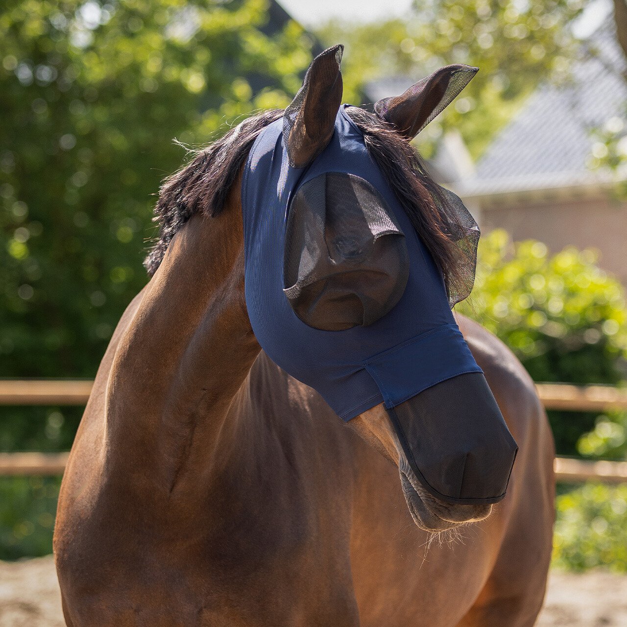 QHP Fluemaske Super Bug m/n�se Navy