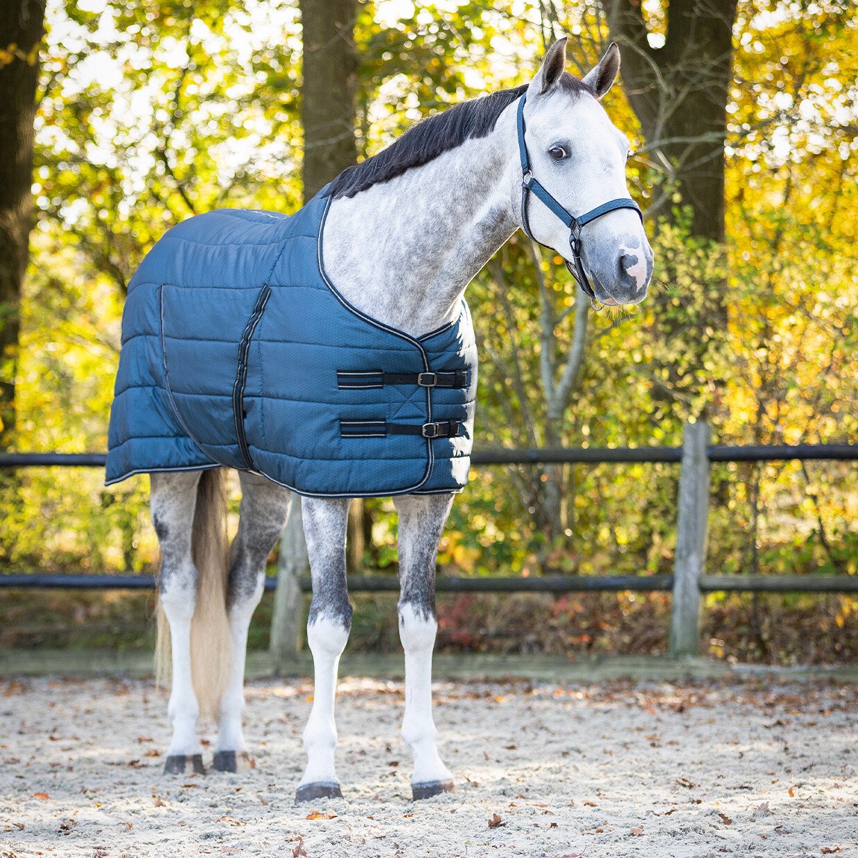 QHP staldd�kken 200g 