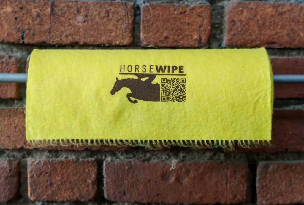 Ekkia Horsewipe