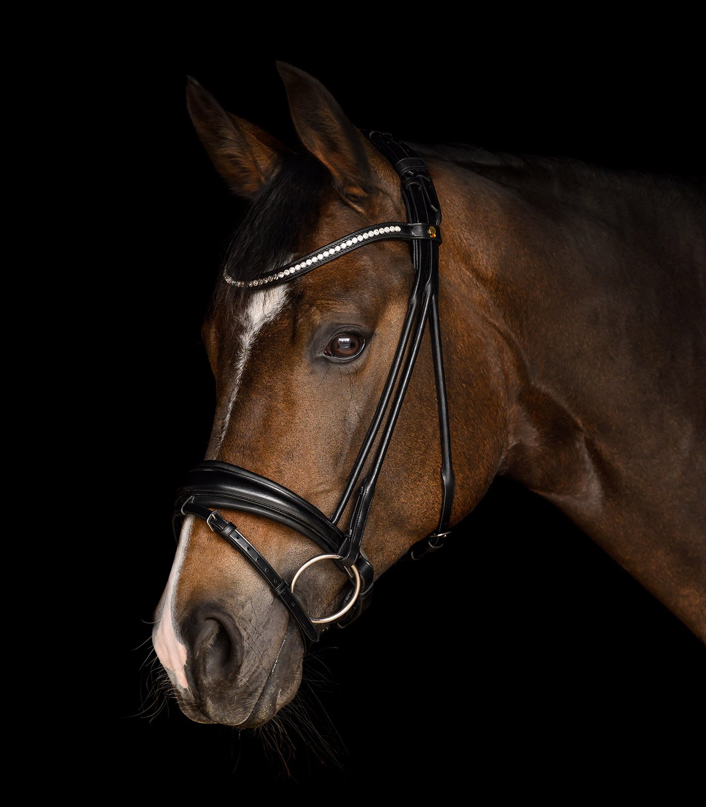 Waldhausen Trense Grace Sort