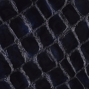 Midnight faux croc gloss