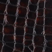 Chocolate faux croc gloss