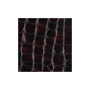 Chocolate faux croc gloss