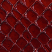 Chestnut faux croc gloss