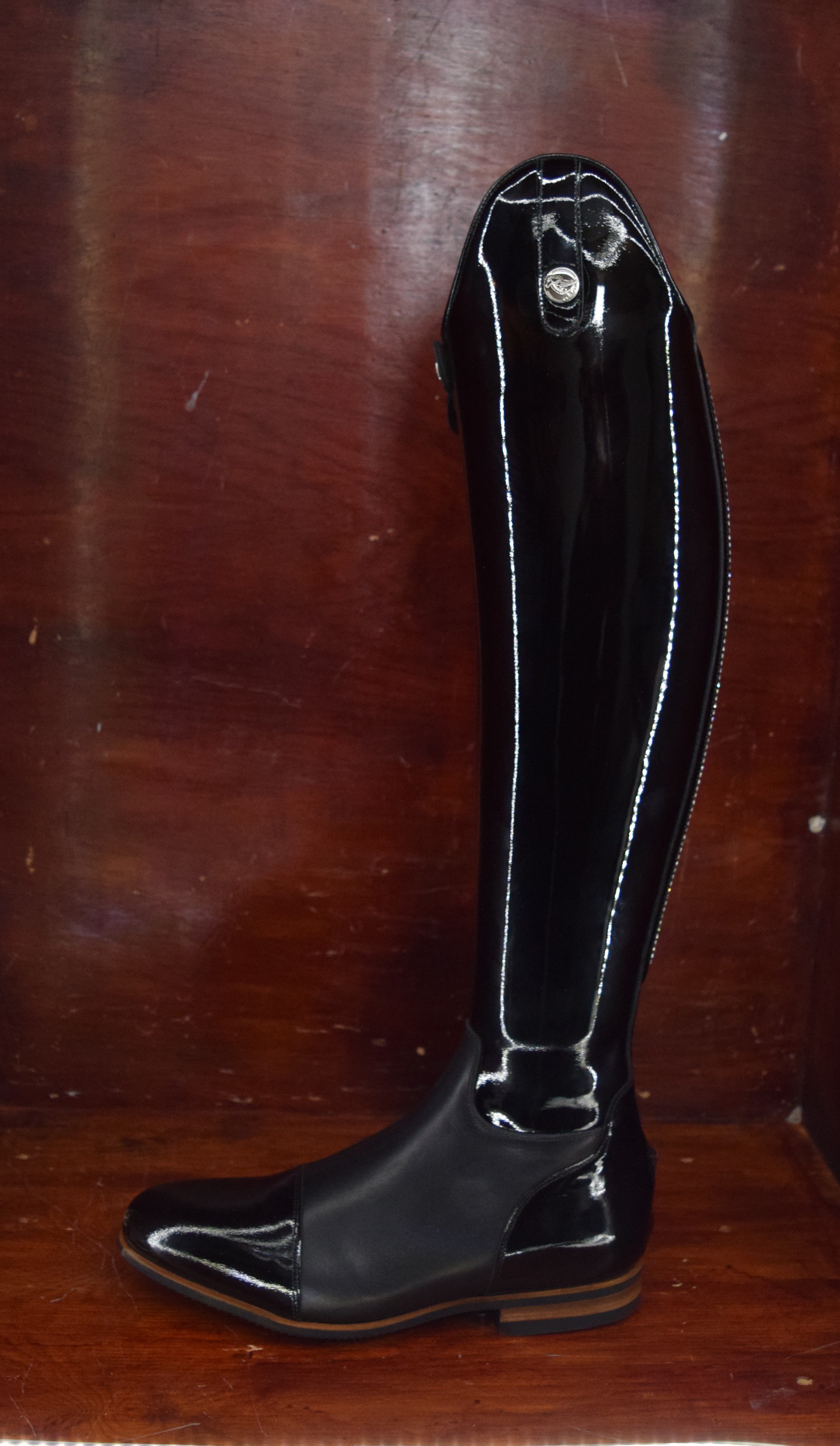 Celeris Olivia Gloss