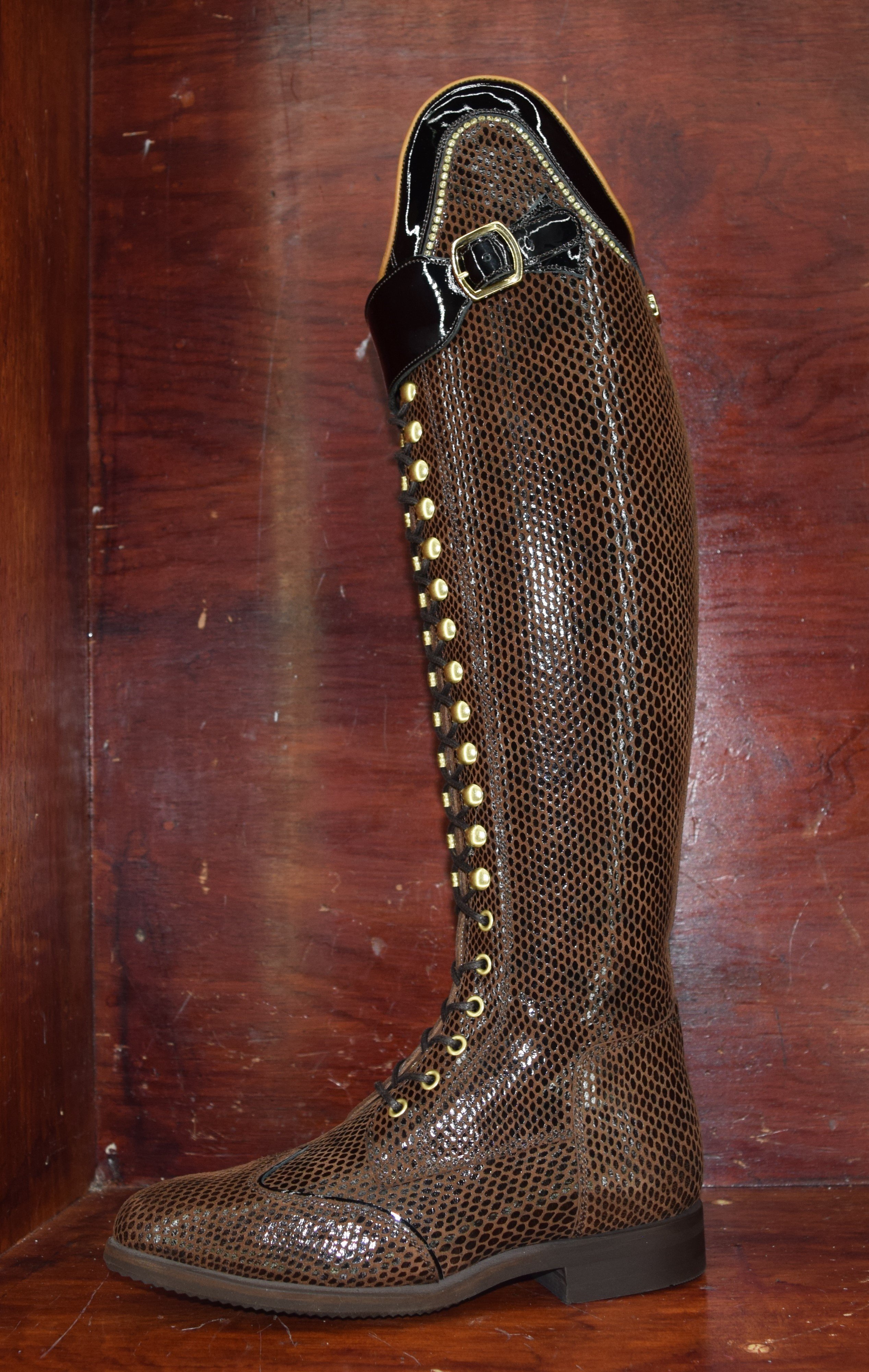 Celeris Bia Brown Snake