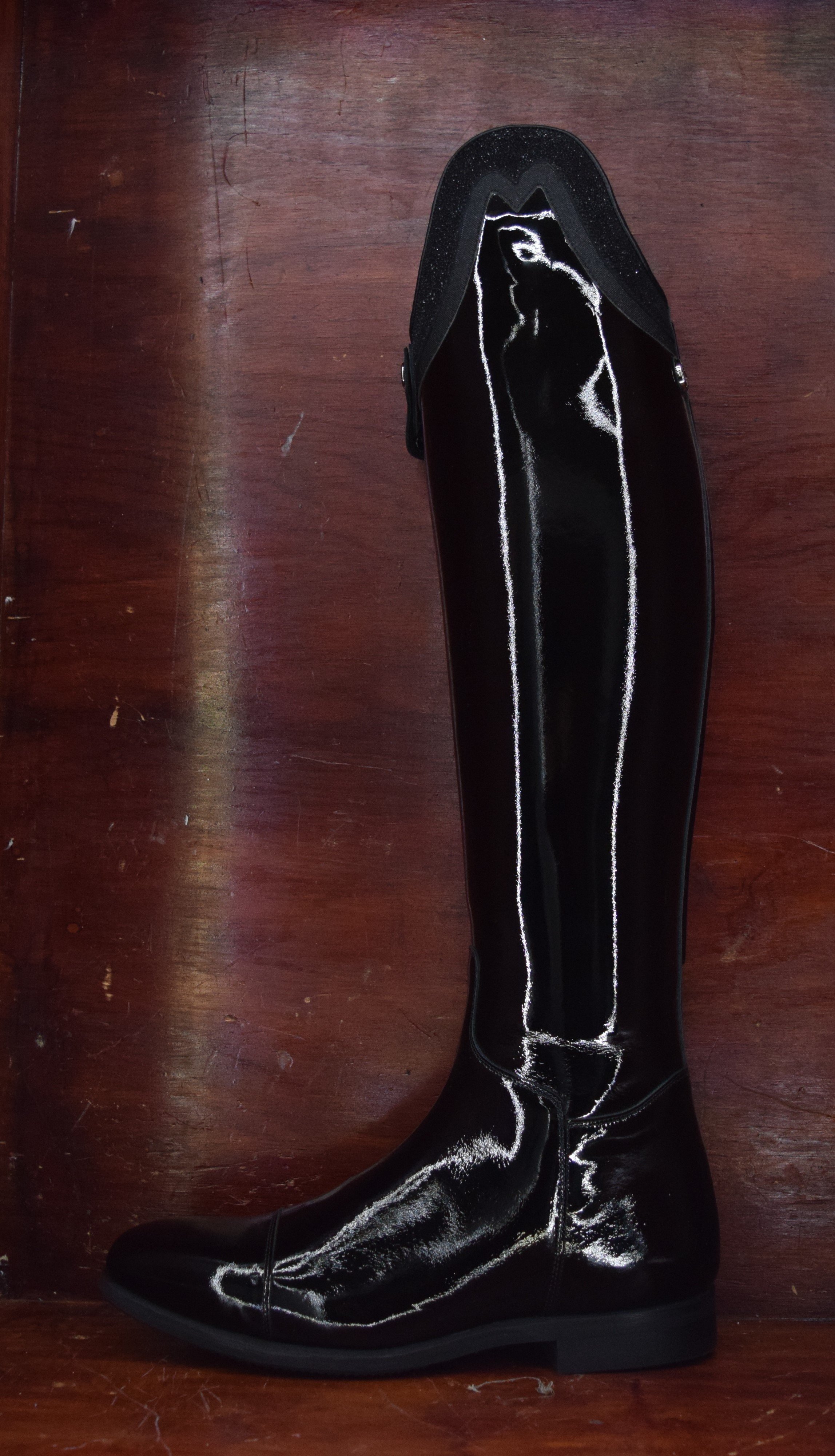 Celeris Amazona Sort Gloss