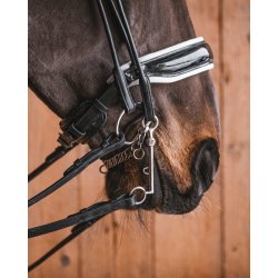 Fager Daniel Kandarstang