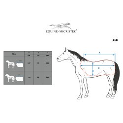 Equine-Microtec Keep Walking