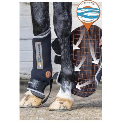 Lemieux Magno Therapy Gamache