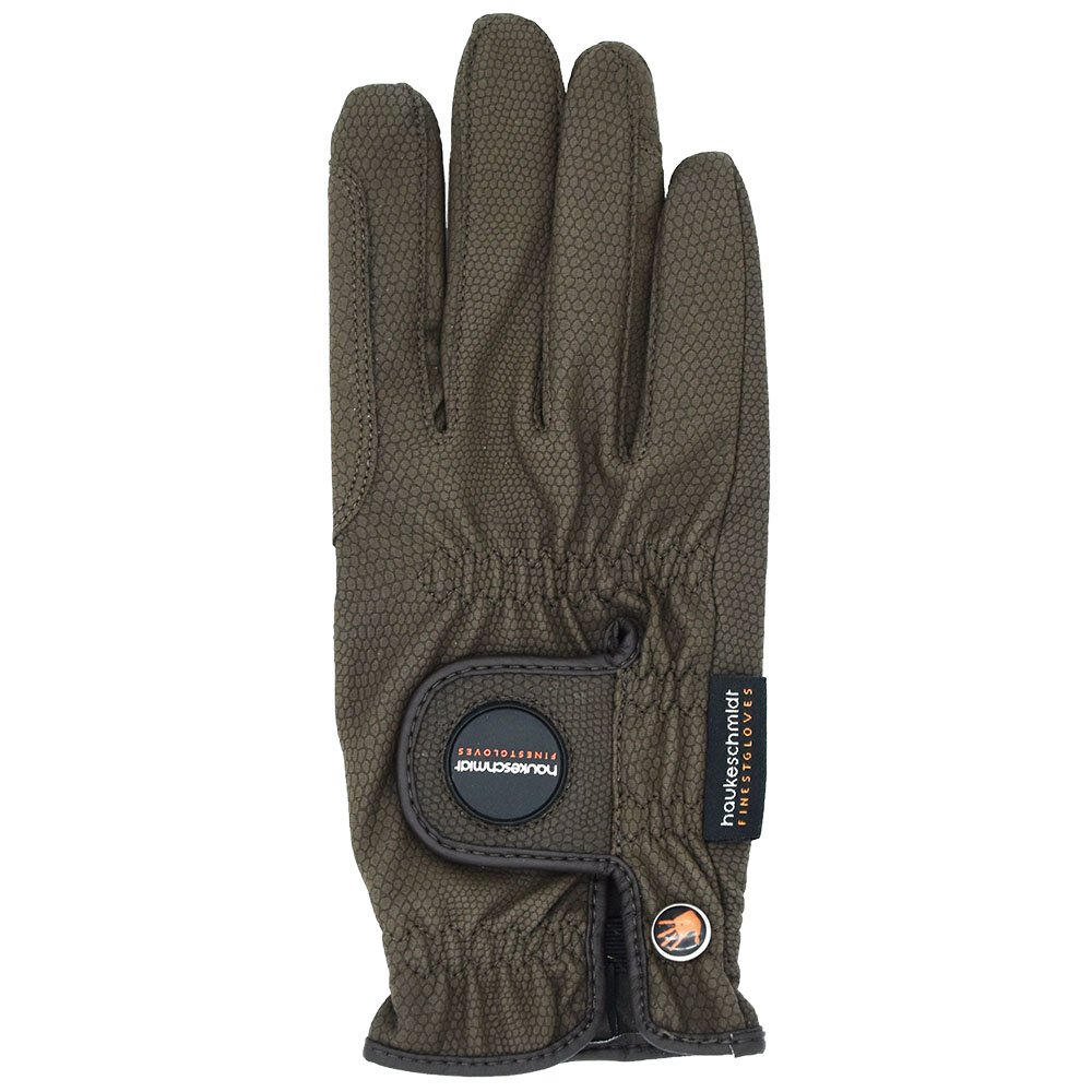 Hauckeschmidt vinter brun