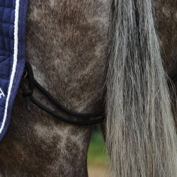 Nordic Horse Lndedkken Navy