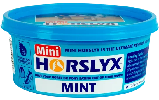 Horslyx Mini Lick Mint - 650 g