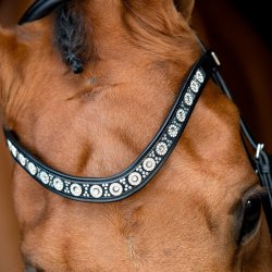 SD Alganto Pandebnd Sort