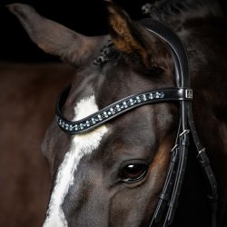 SD Vivaldi Montana Sort Lder