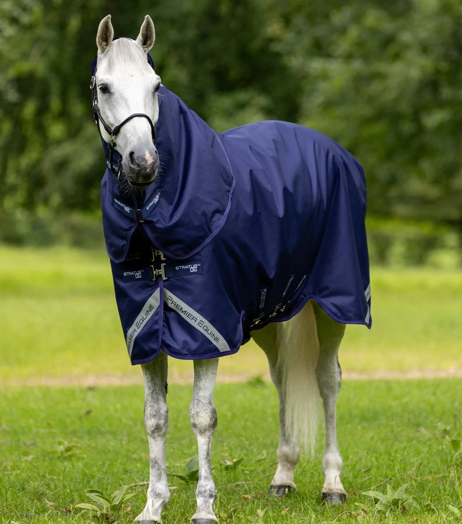 Premier Equine Stratus 0gr Navy