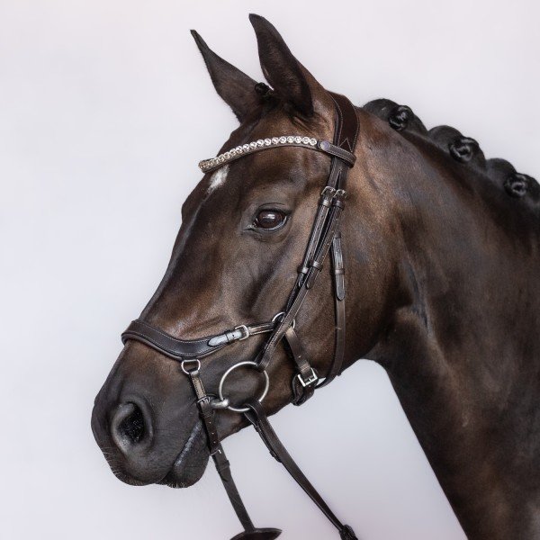 Bridlery Outline Sort