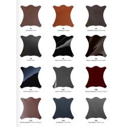 Chester Aachen Ridestvle