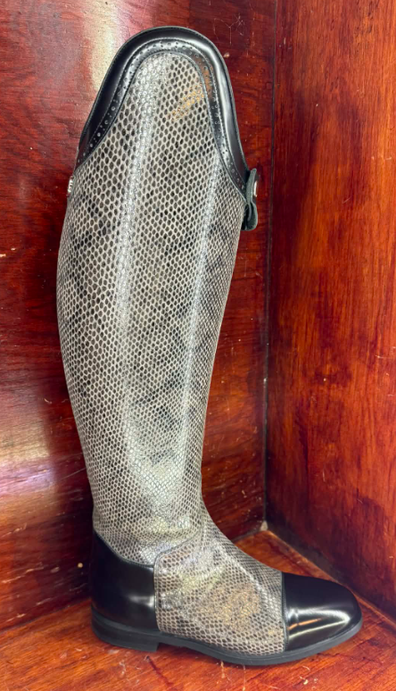 Celeris Amazona Gr� Snake DEMO