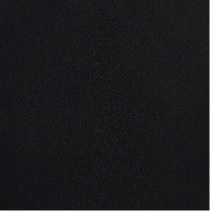 Celeris black calfskin